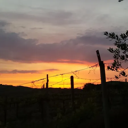 Il Cocco Montalcino