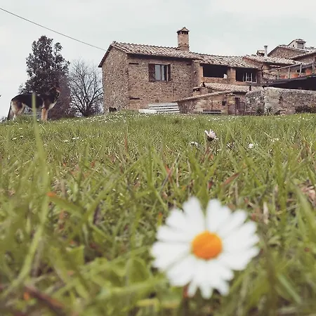 Il Cocco Montalcino