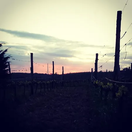 Alloggio per agriturismo Il Cocco