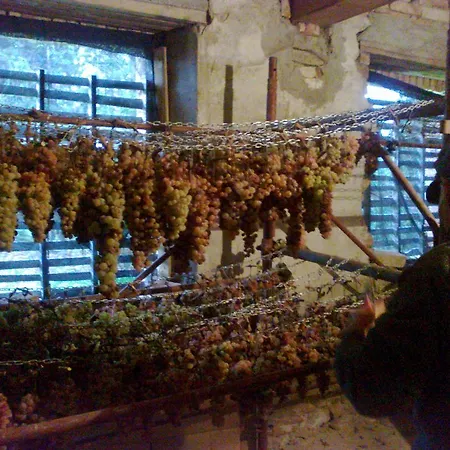 Alloggio per agriturismo Il Cocco *